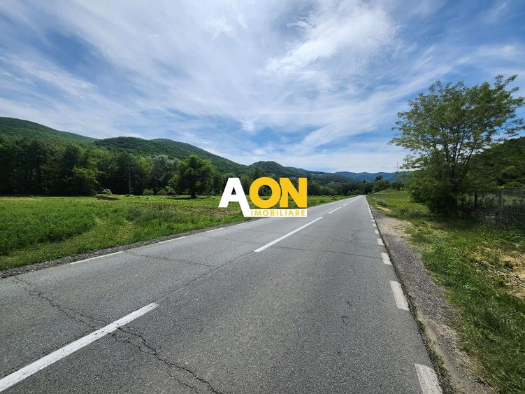 De vanzare teren 936mp cu utilitati, Gura Ampoitei