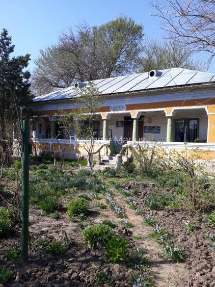          Casa de vânzare  Comuna Salcia Sat Tudor Vladimirescu  jud Teleorman  - 10