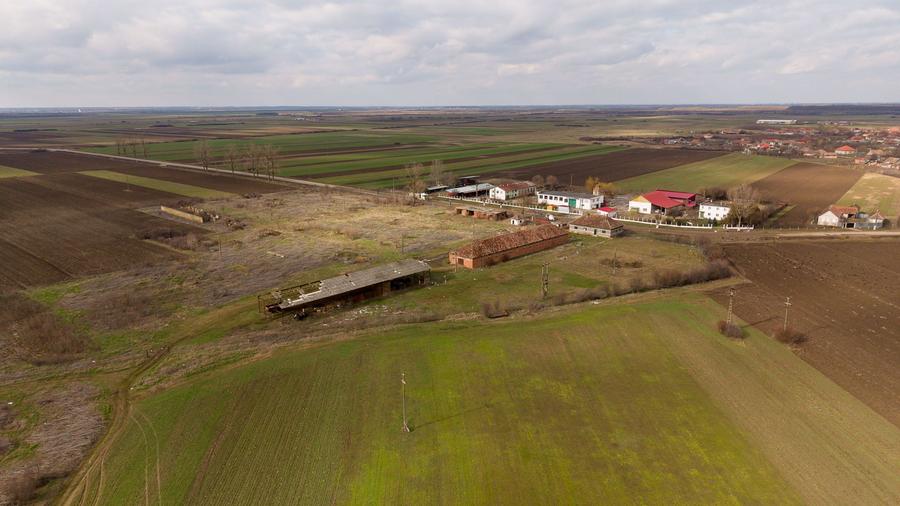 Fermă cu teren intravilan de 35000 mp în Mișca