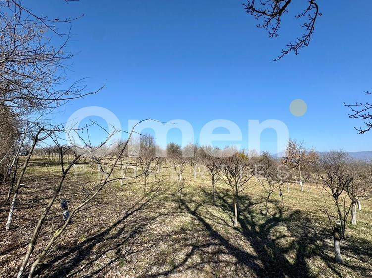 Teren intravilan | Berința | 5800 mp