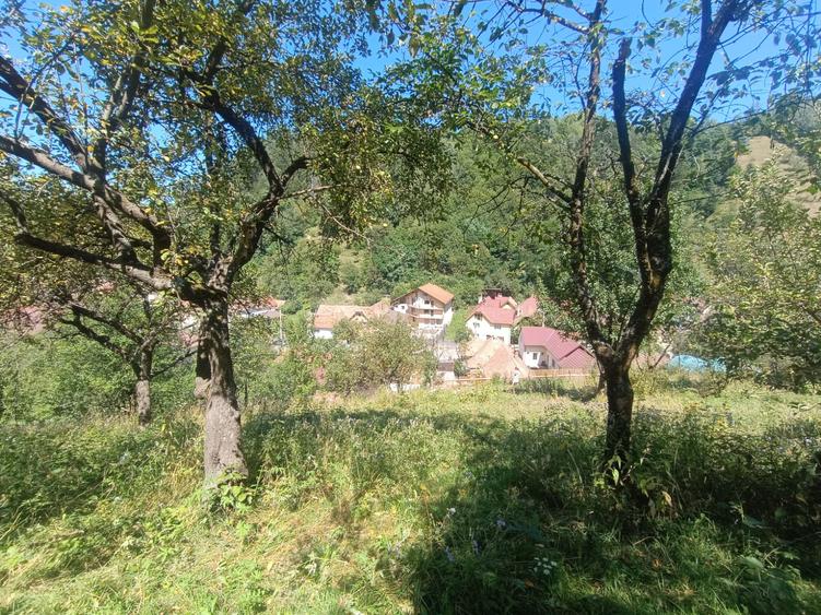 Gospodărie completă cu teren de 5.000 mp-Poiana Mărului, 198.000 €