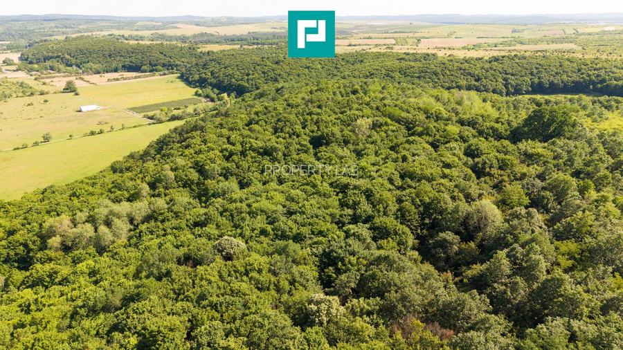 TEREN AGRICOL EXTRAVILAN  22.900 MP LIPOVA - 18