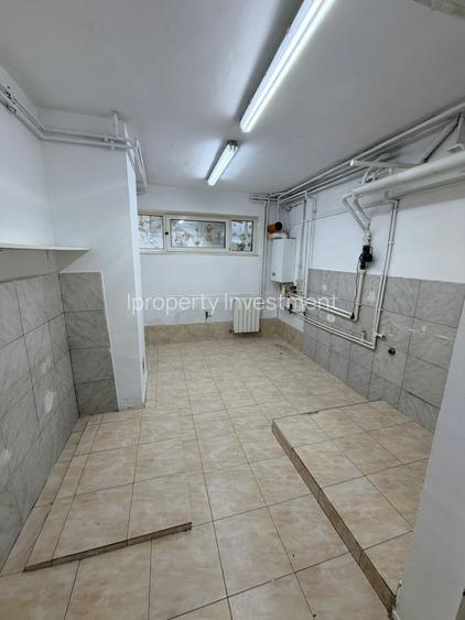 Vila Individuala | Baneasa-Aerogarii | Spatiu Birouri/Rezidential - 10