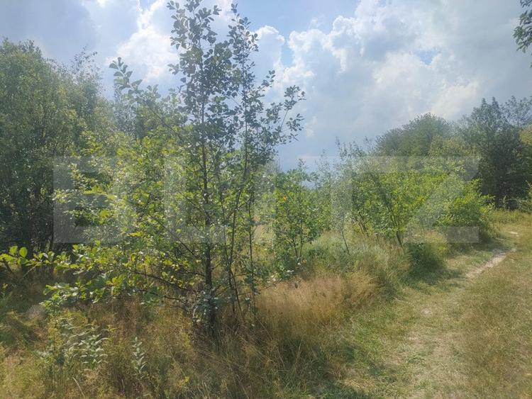Teren intravilan, 5857 mp, Baltati, Horodnicu de Sus