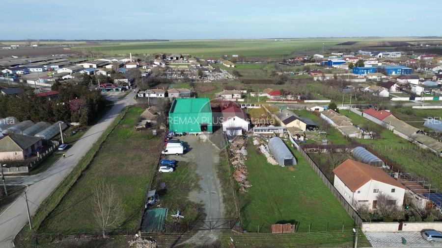 Hala de vanzare- Ovidiu - 10