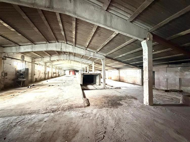 HALE INDUSTRIALE | CLADIRE BIROURI | TEREN 7000 MP | GHEGHIE BIHOR