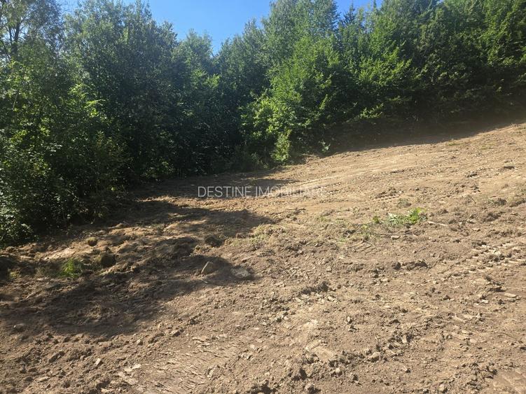 Teren Valea Doftanei,  zona Pe Vale - Baraj Paltinu - 4