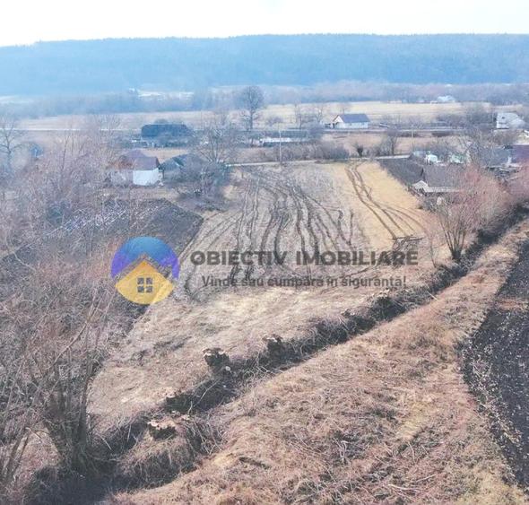 Teren INTRAVILAN 10.515 mp - BODEȘTI, judetul NEAMȚ