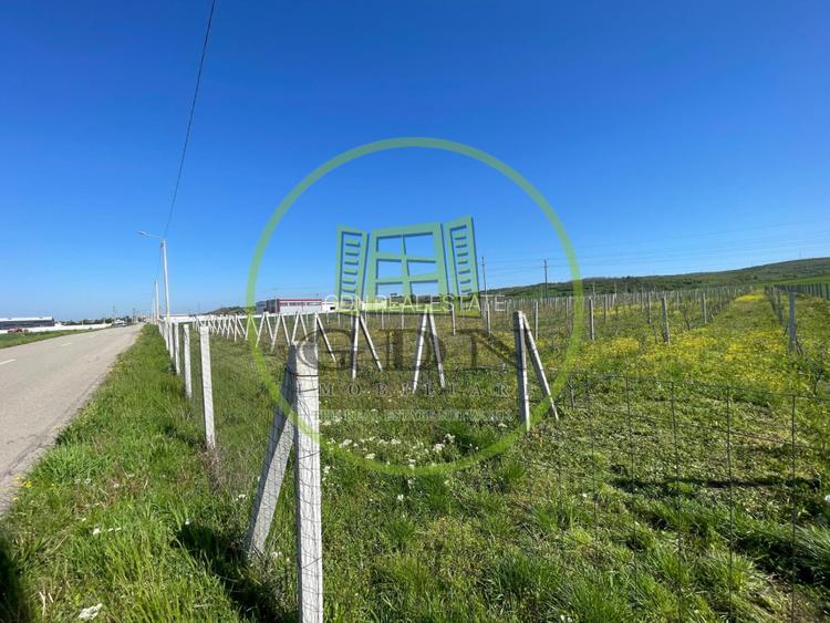 Teren intravilan 8.677 mp cu utilități în Răcari, zona Vatra Romana - 2