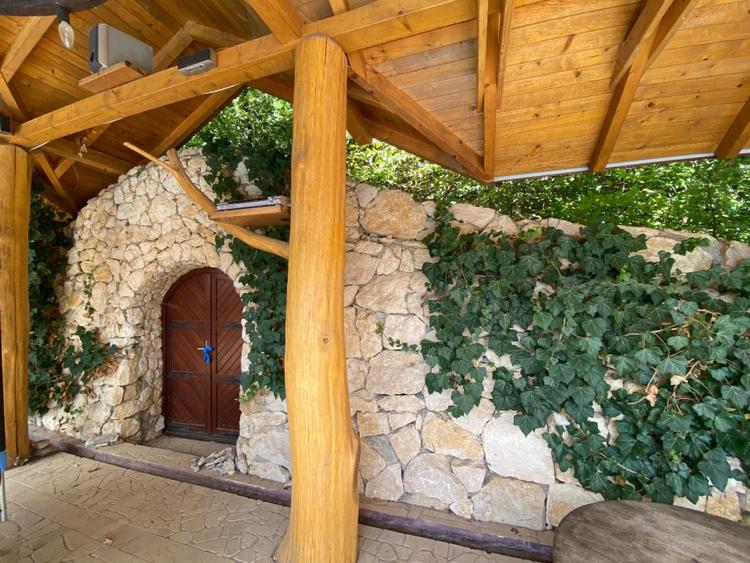 Domeniu exclusivist 17.000 mp | Vilă luxury cu piscină & SPA – Cărbunari