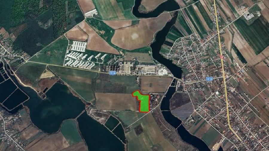 Teren intravilan 36.000 mp Crevedia - Dambovita - 3