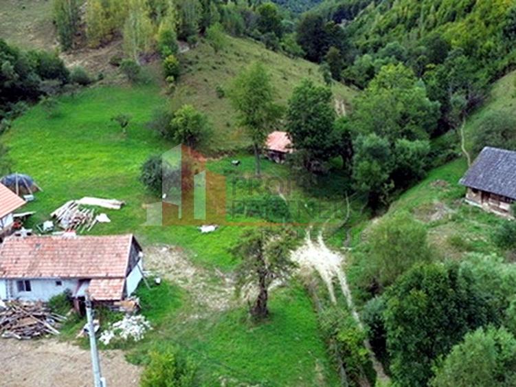 Teren de investiție în Moieciu, lângă Castelul Bran – 11.381 mp, vedere Bucegi