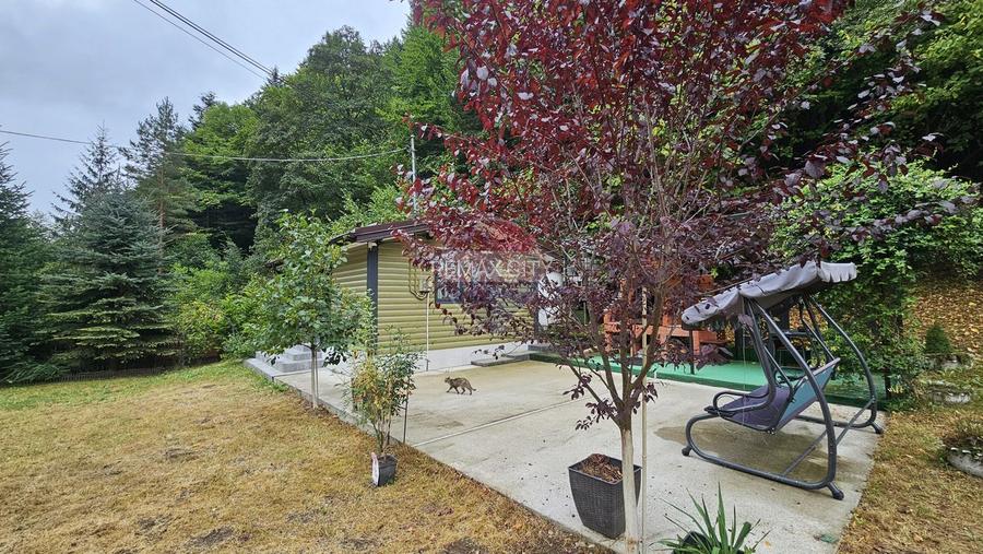 Căsuță de vacanță de vânzare – comuna Alexandru cel Bun, Neamț - 36