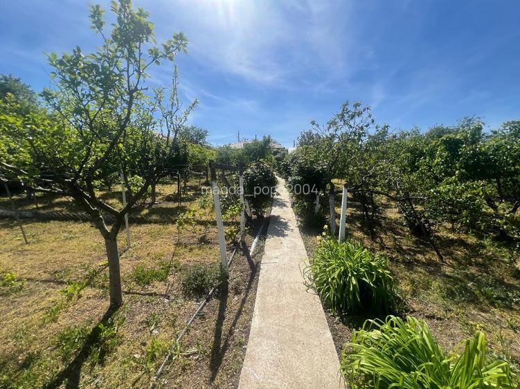 Vand casa cu livada si solar + spatiu comercial in sat Cismele (1498 mp) - 14