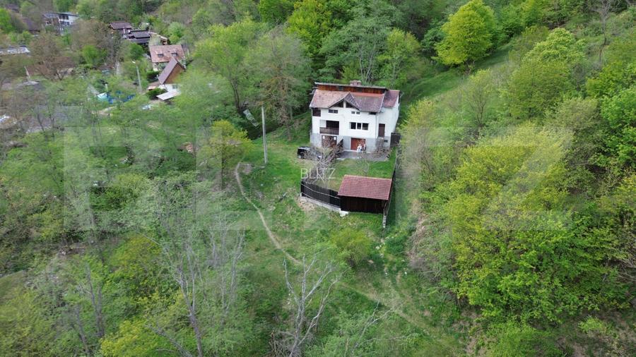 Cabana de poveste în Râmeț | 2000 mp teren + râu pe proprietate | ideală pent - 4