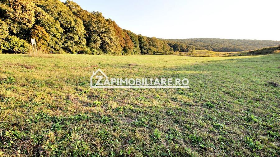 De vanzare 2 terenuri de 29.500 mp si 1.400 mp.29 euro mp