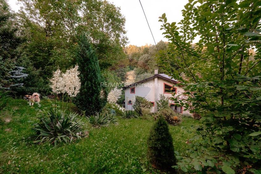 Casă de vânzare cu teren 2.340 mp și pârâu propriu — Bălilești, Argeș - 24