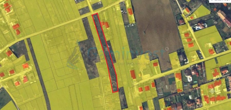 Teren intravilan de 3547 mp de vanzare in Sanmartin, Bihor