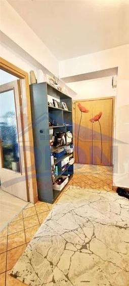 Apartament 2 camere Parc Brancusi