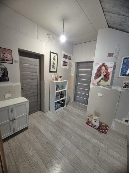 Vila de lux Pantelimon D+P+E+M