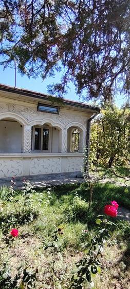 Casa caramida la strada Puskin
