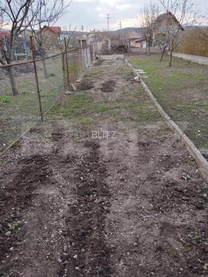 Apartament 3 camere cu gradina in Mihai Viteazu - 12