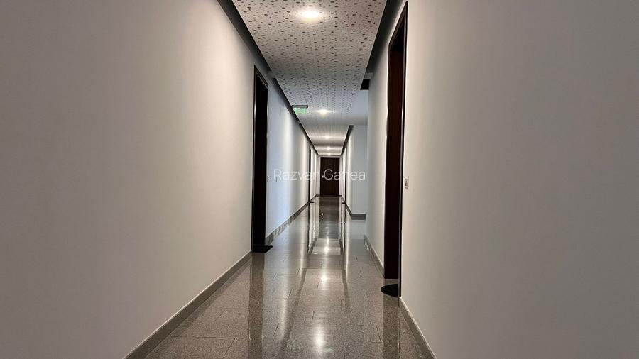 Proprietar Iancu Nicolae Cambridge school  - 11