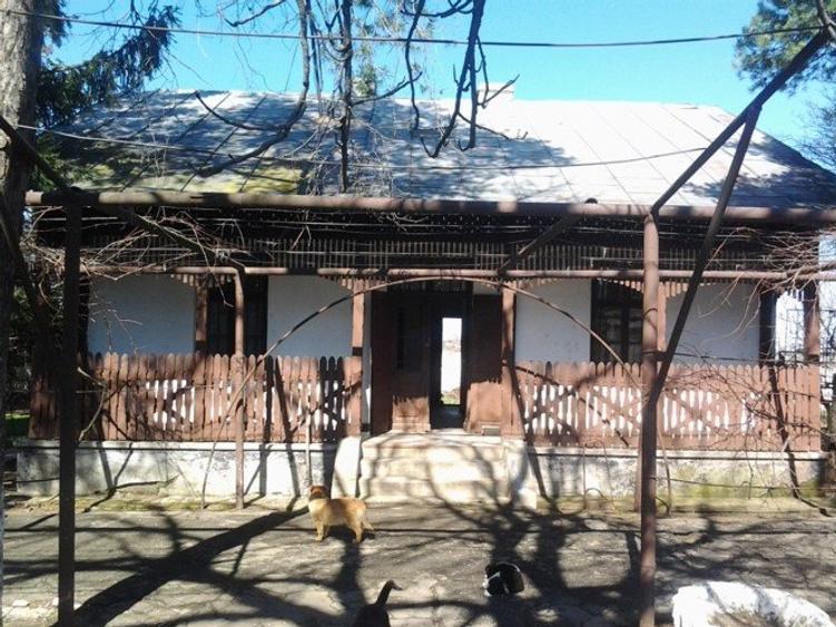 Teren intravilan Mogosesti | Giurgiu | 370.000mp | Adunatii Copaceni