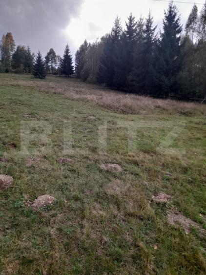 Teren intravilan de vanzare, 2280 mp, Vatra Dornei