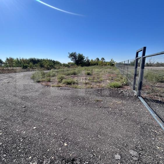 Teren intravilan 4.583 mp – Parc Industrial Sânandrei - 5