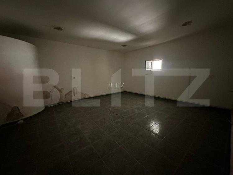 Spatiu comercial, 293 mp/129 mp, zona ultracentrala cu Vad - 5