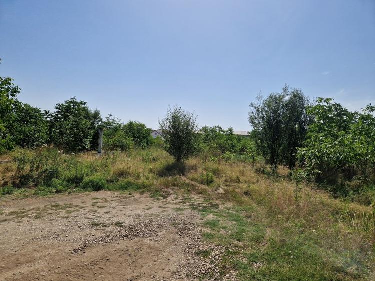 Domnesti - Ciutaci, vanzare 4 loturi de teren intravilan