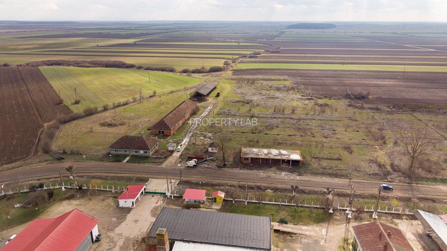 Fermă cu teren intravilan de 35000 mp în Mișca - 20