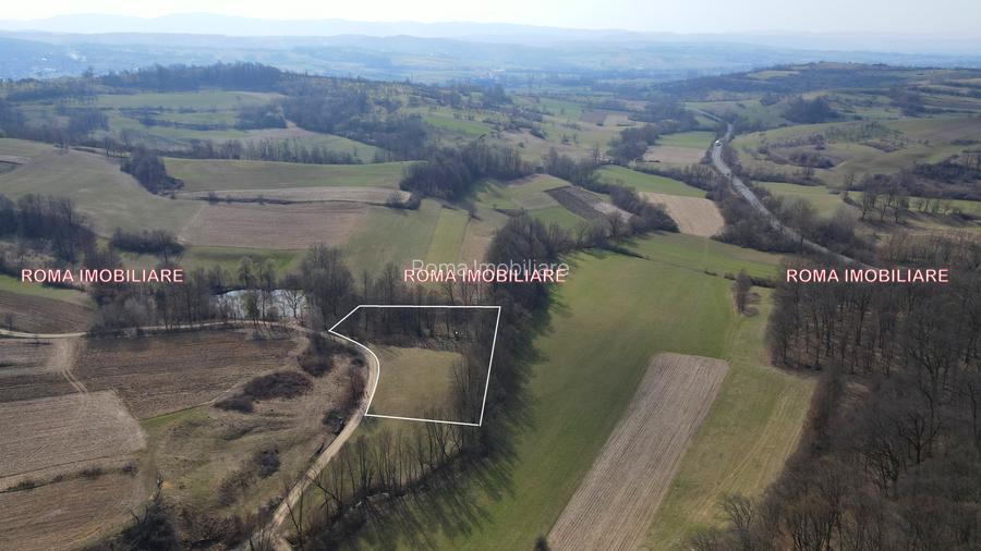 Teren superb de vânzare în Dumbrăvița – 3.750 mp - 7