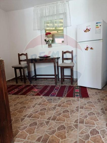 Vânzare casa la munte - zona turistica - Baia de Fier