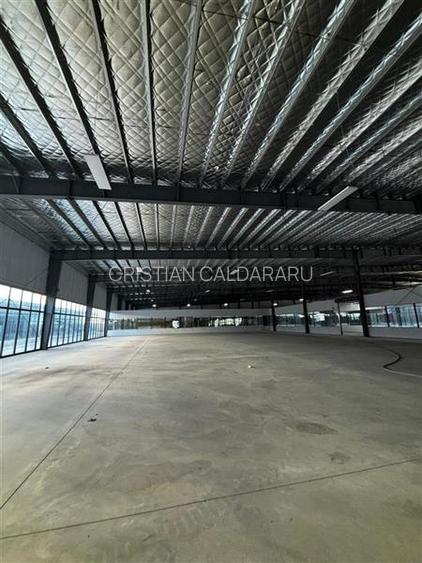 Inchiriere depozit/hala/spatiu industrial/showroom Afumati - DN2 - Dorally, Ilfo - 8