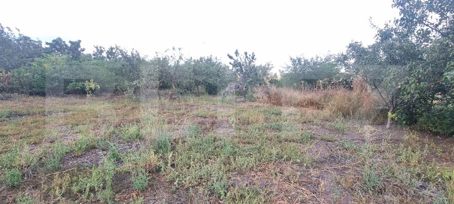 Casa 2 corpuri si anexe, 69 mp, zona Tritenii de Sus
