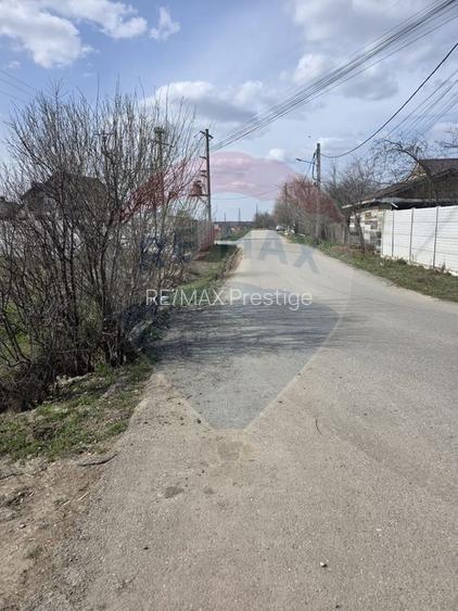 Teren  Balotesti Dumbraveni  16.700 mp /8350 mp /loturi 500 mp - 5