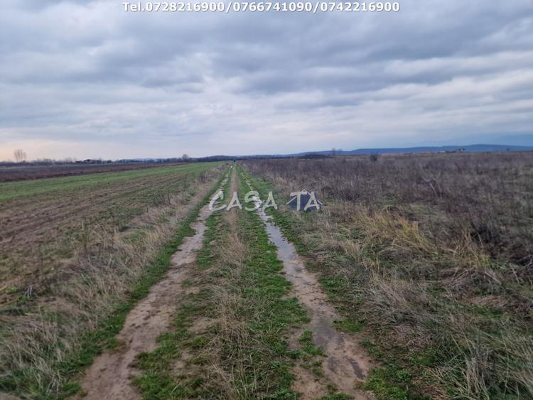 Teren Extravilan (5900 mp),situat in Targu-Jiu, Preajba-Dragoieni