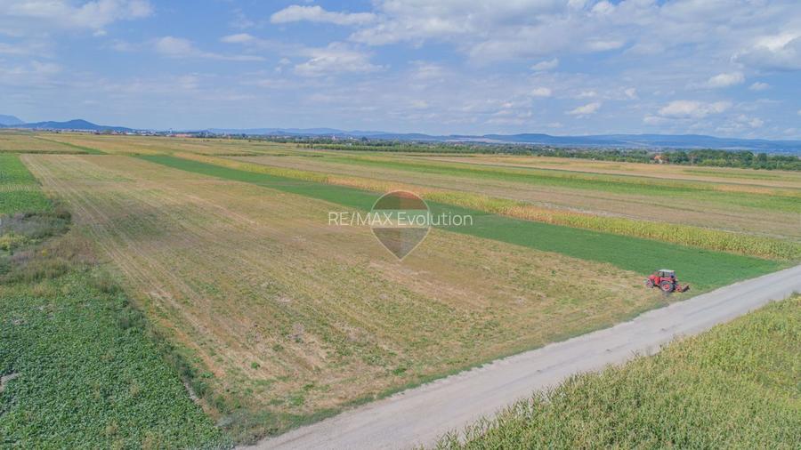 Teren extravilan de vânzare – 14.750 mp – Prejmer, județul Brașov - 9