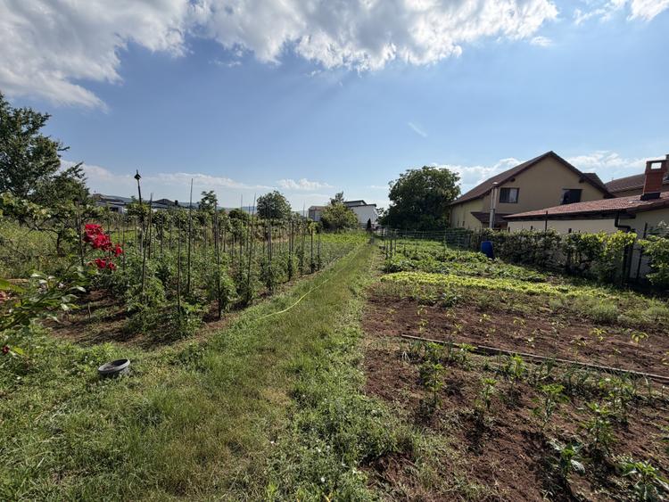 Teren Intravilan | 1.400 mp | Toate utilitățile | Micești | CONSTRUIBIL |