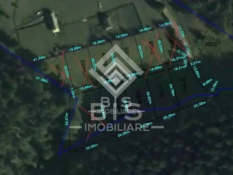 Teren intravilan parcelabil- Colibița, investitie