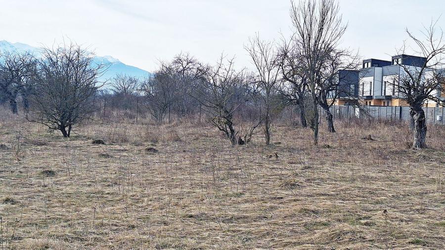 Teren intravilan pentru Investitie!!!,933mp in Ghimbav, 50 euro/mp neg