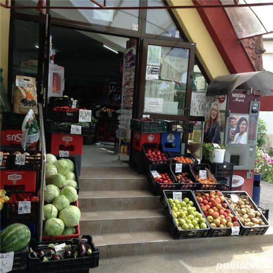 Spatiu Comercial 100 mp Triaj