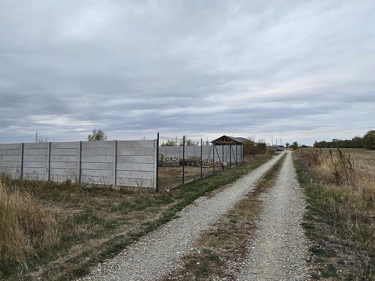 SNAGOV  TANCABESTI- STRADA MIHAI EMINESCU