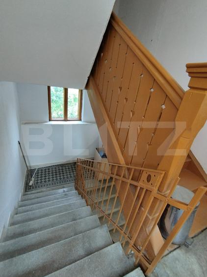 Casa istorica, 2 apartamnte, curte proprie- posibilitati multiple, zona Balcescu
