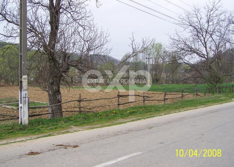 Teren intravilan 21.000 mp de vânzare – Suseni, Comuna Bogați, Județul Argeș - 9