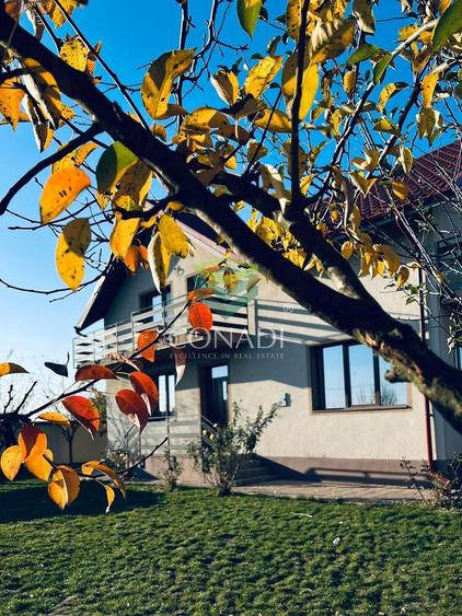 Vila cu teren si garaj in Ciolpani