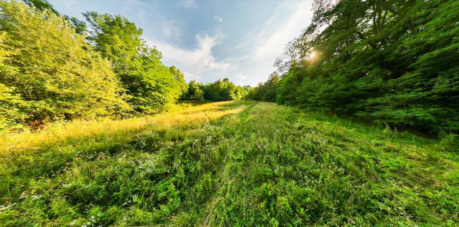 Teren de 11700 mp în mijlocul naturii la 2 ore de București