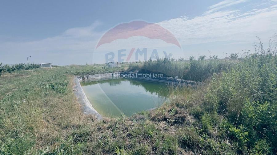 Teren agricol 16.750mp în Cârcea, imprejmuit, cultura capsuni, solarii - 9